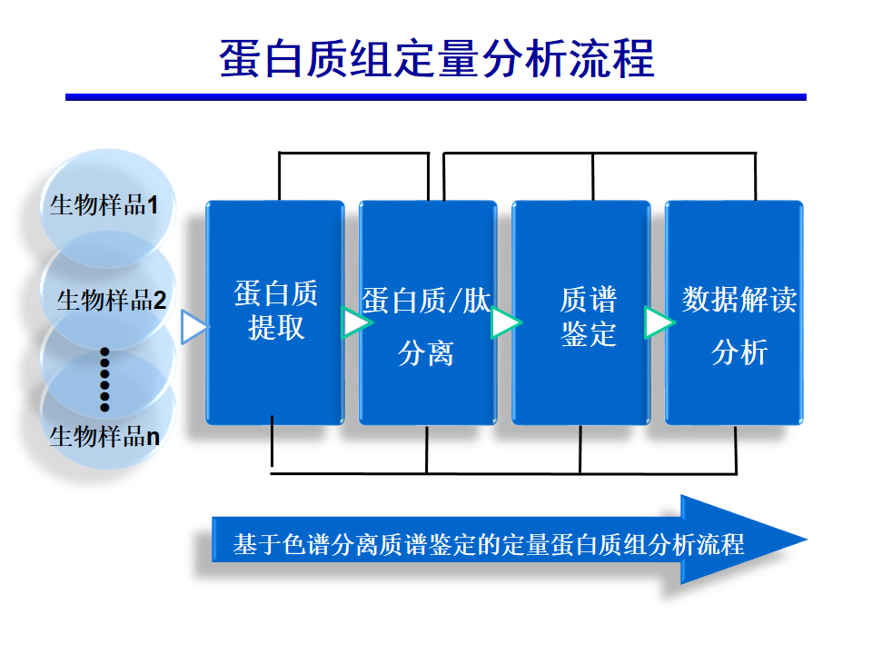 蛋白质组定量分析流程