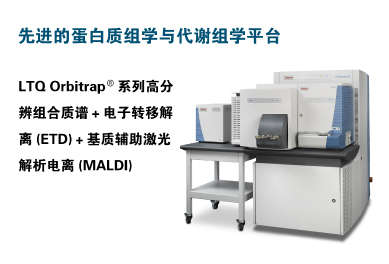 蛋白质组学服务