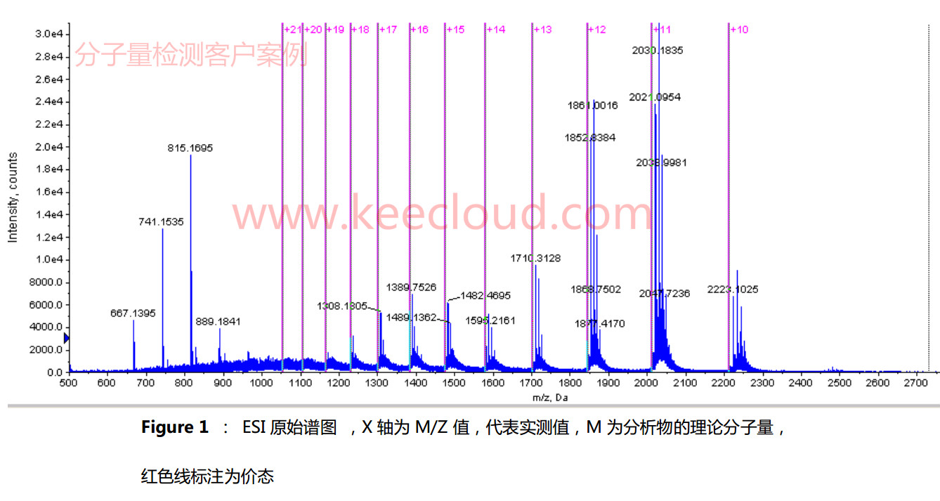 蛋白分子量质谱检测