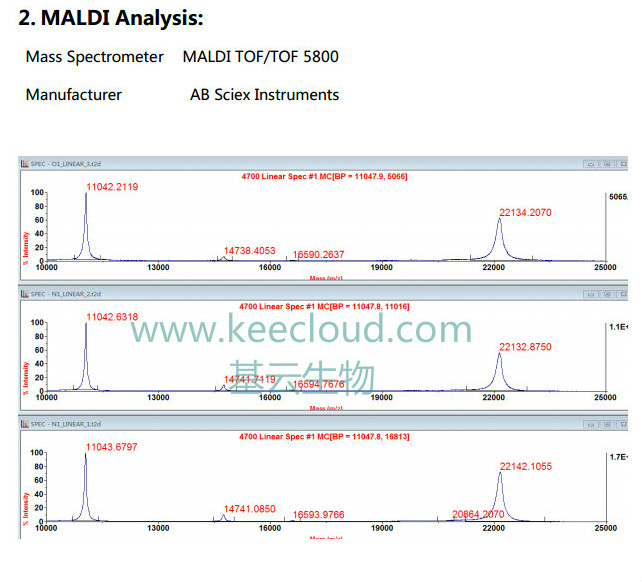 MALDI生物质谱分析图