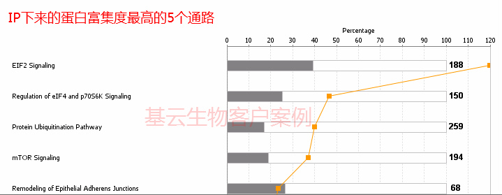 免疫共沉淀结果