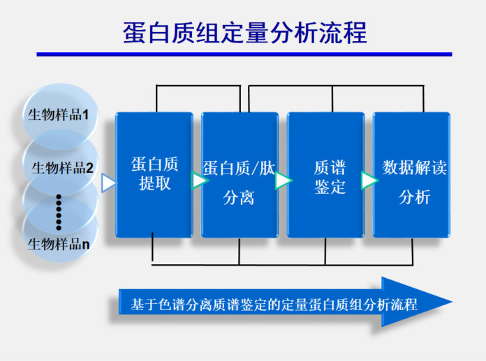 生物质谱蛋白测序