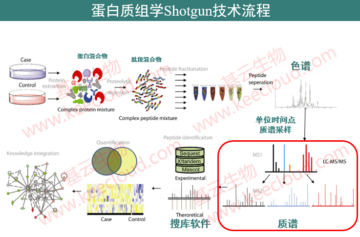 shot-gun蛋白质技术服务