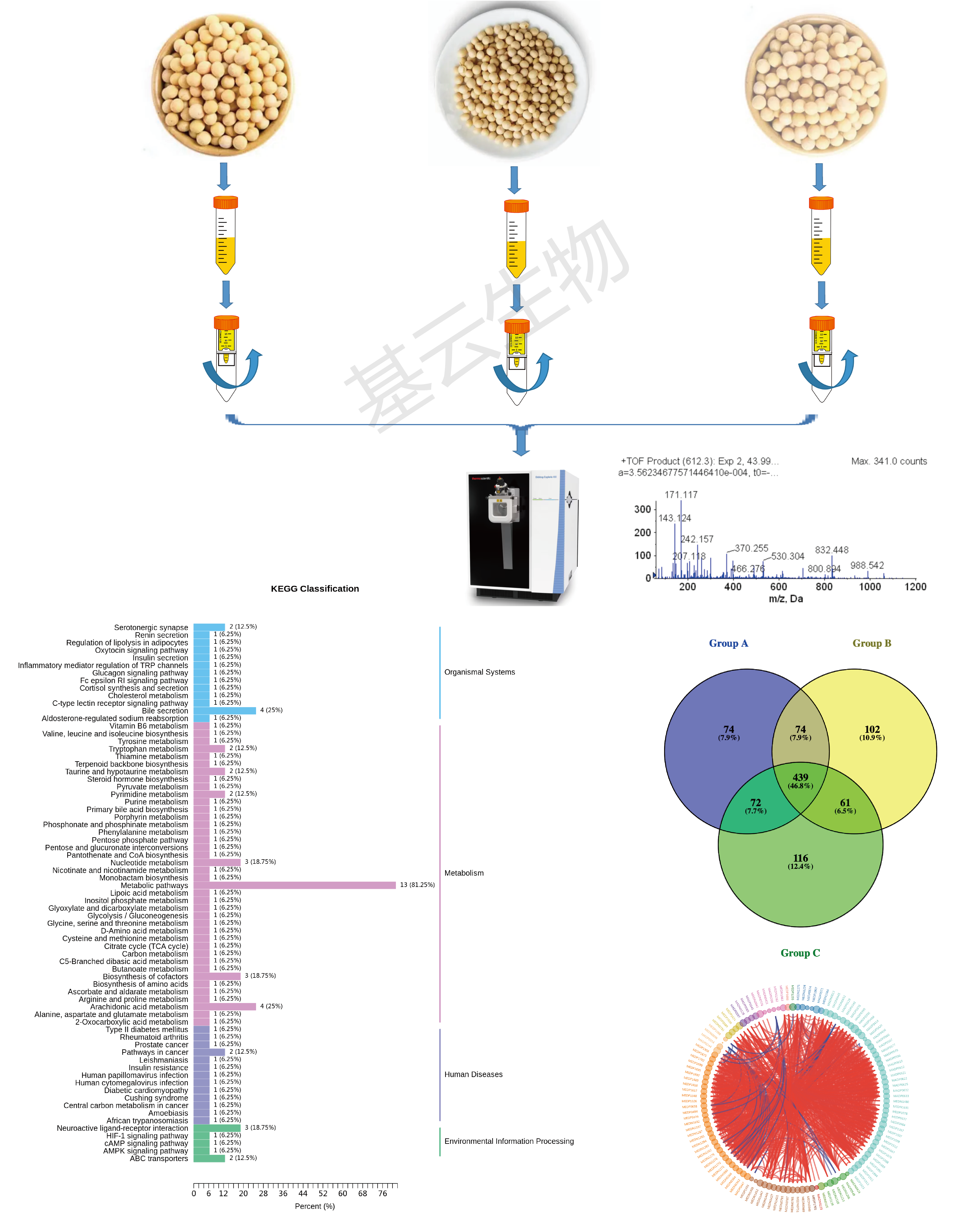 大豆多肽质谱检测