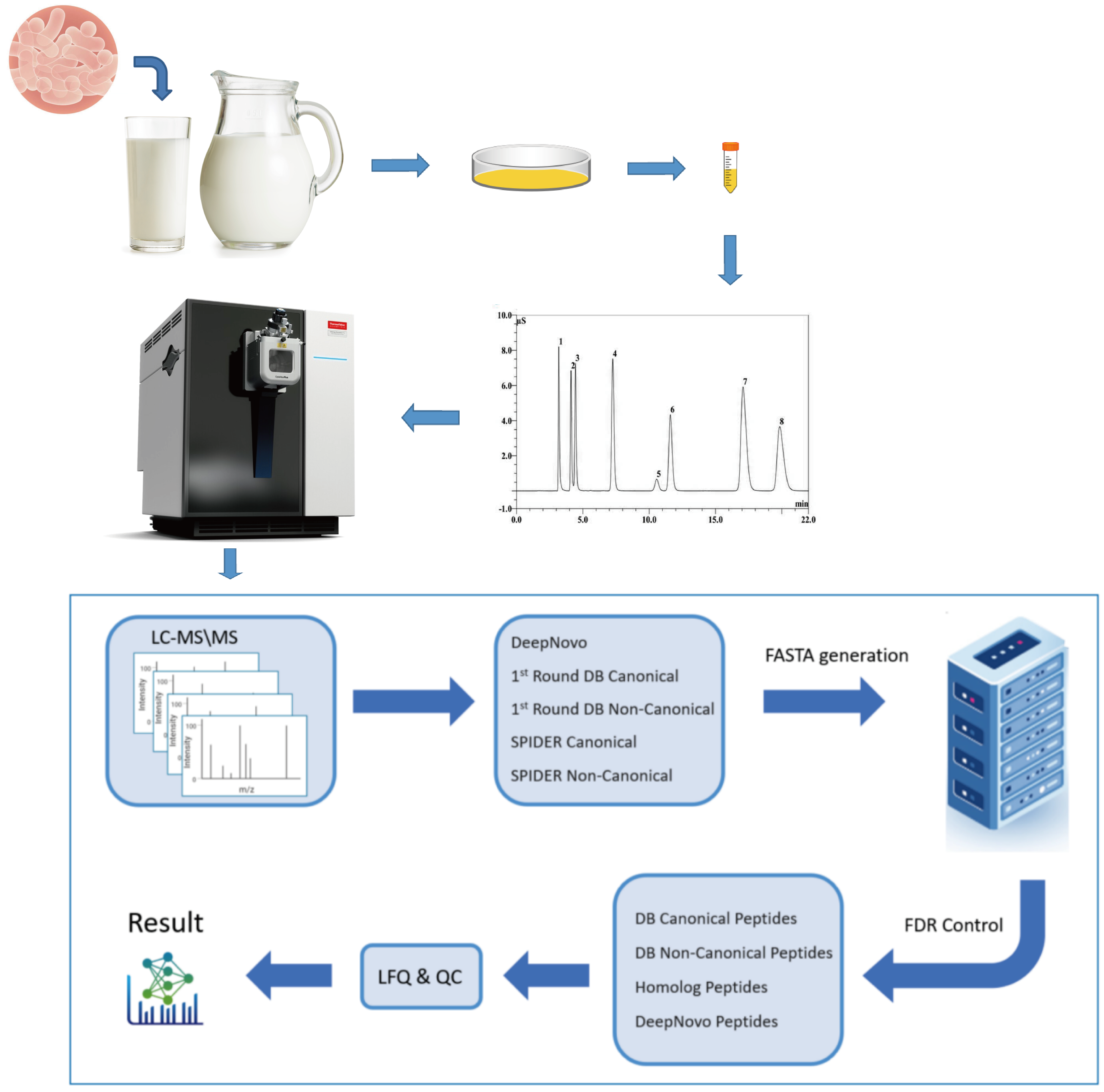 乳酸菌多肽研究