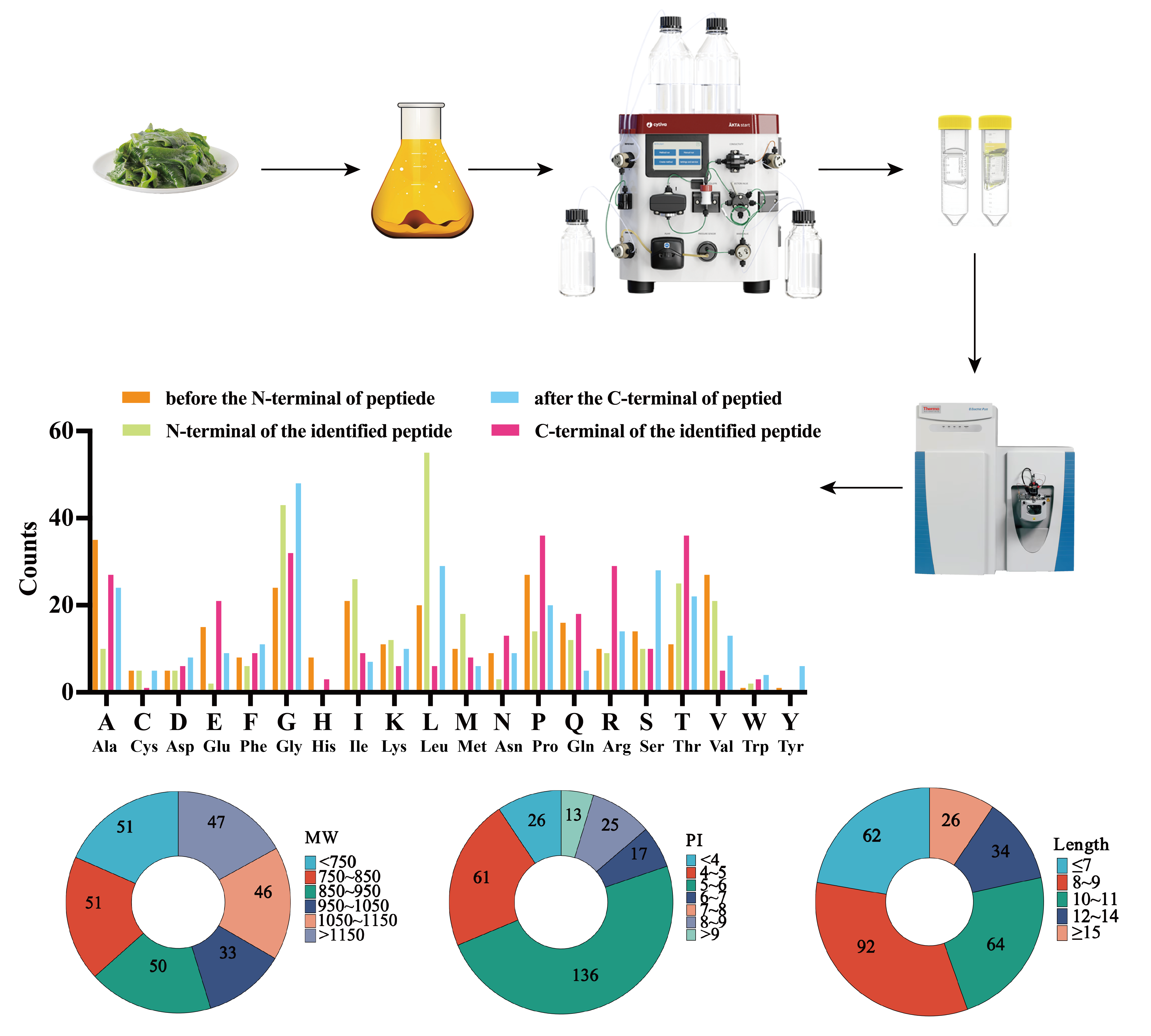 裙带菜多肽鉴定