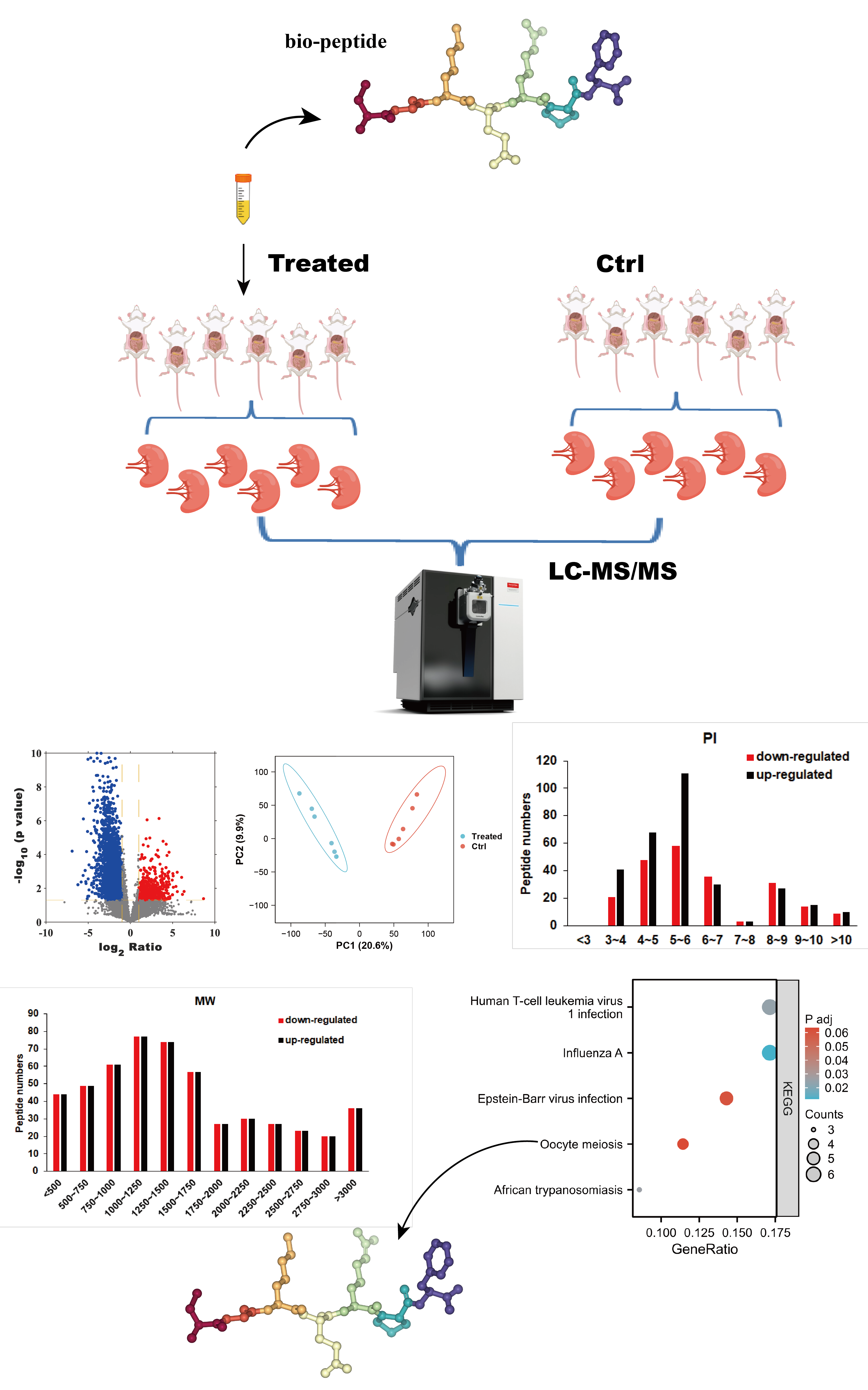 多肽示踪联合分析