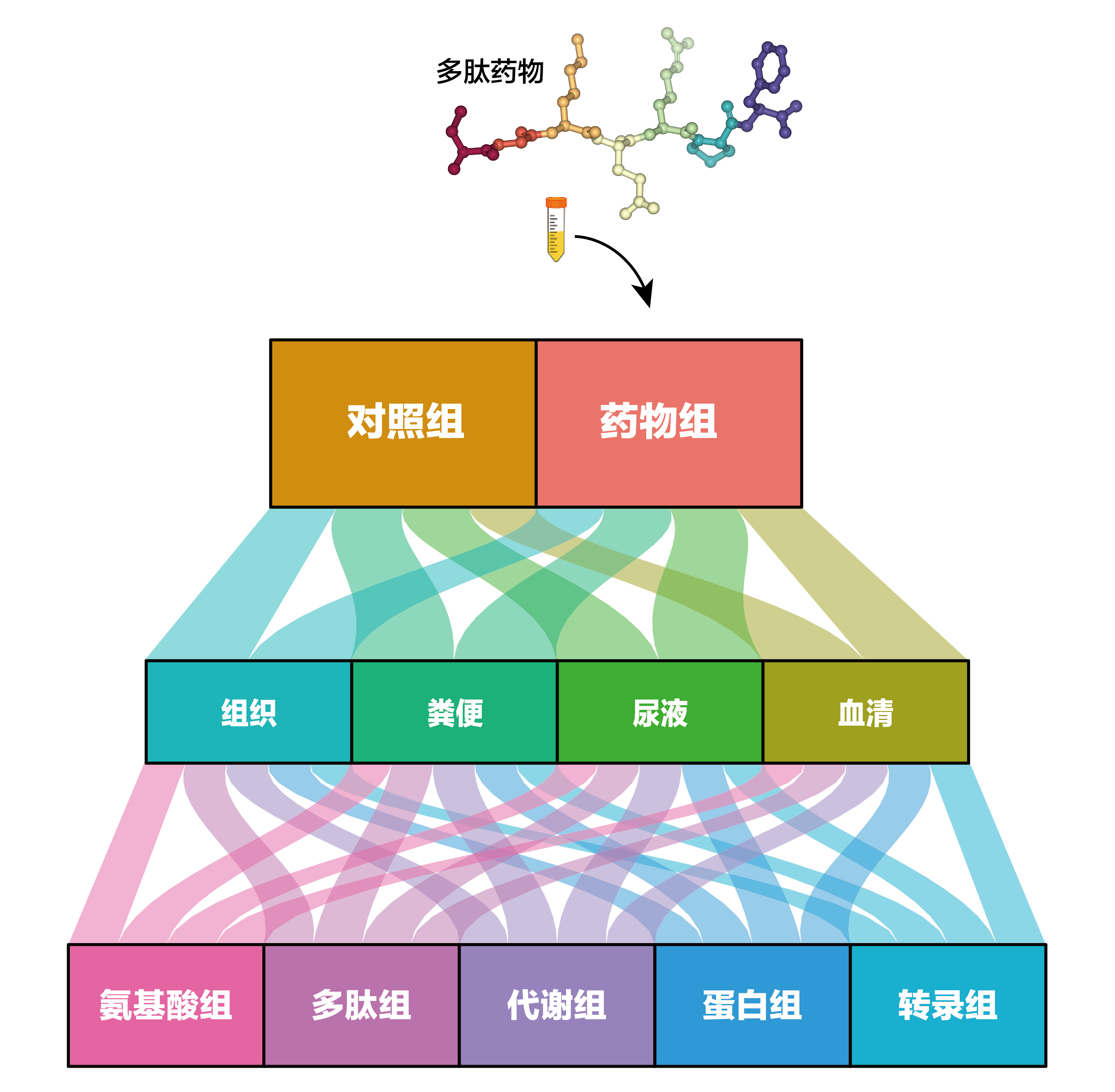 多肽药物稳定性
