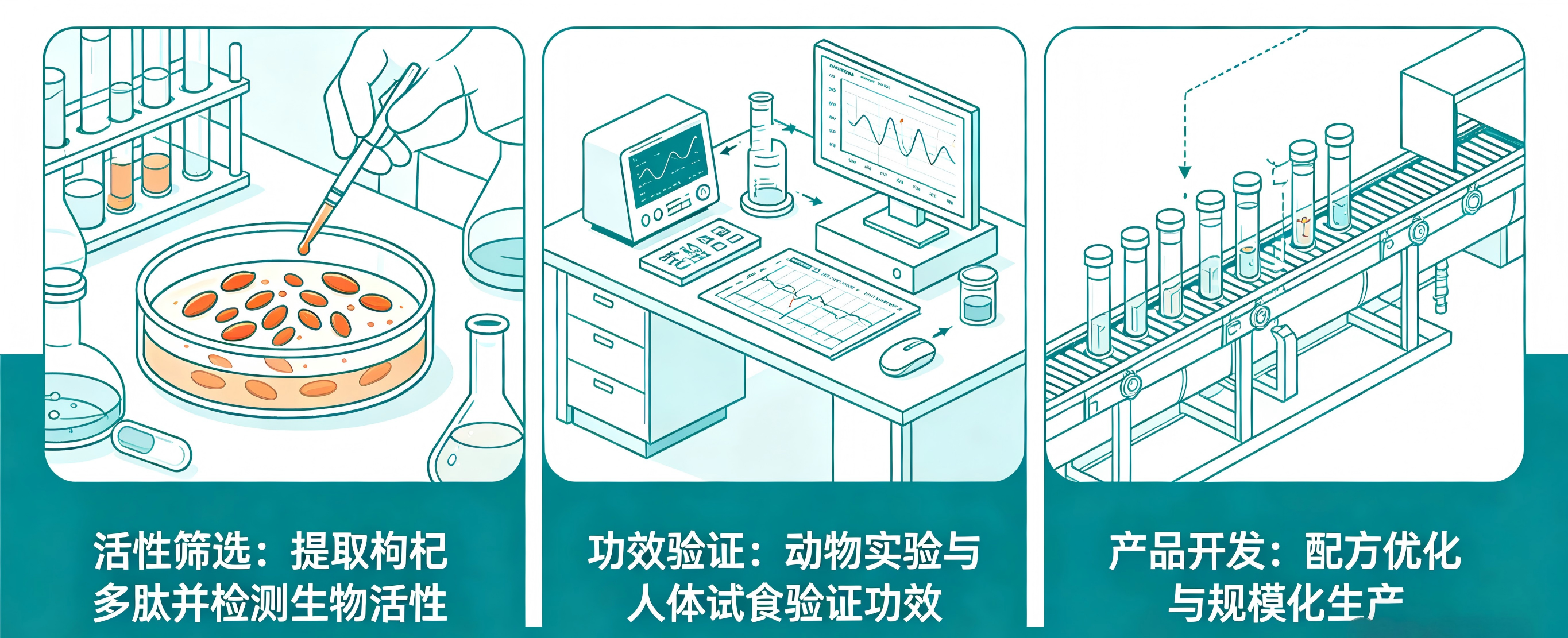 枸杞产品研发